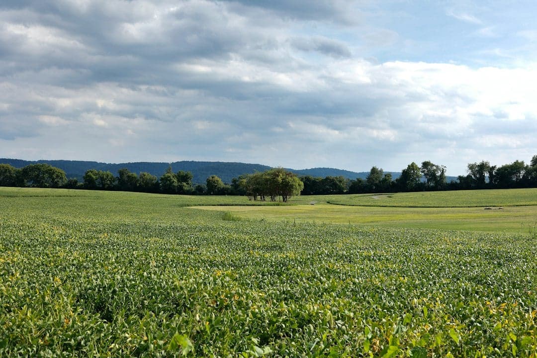 Franklin Township, NJ