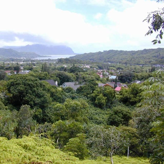 Ahuimanu