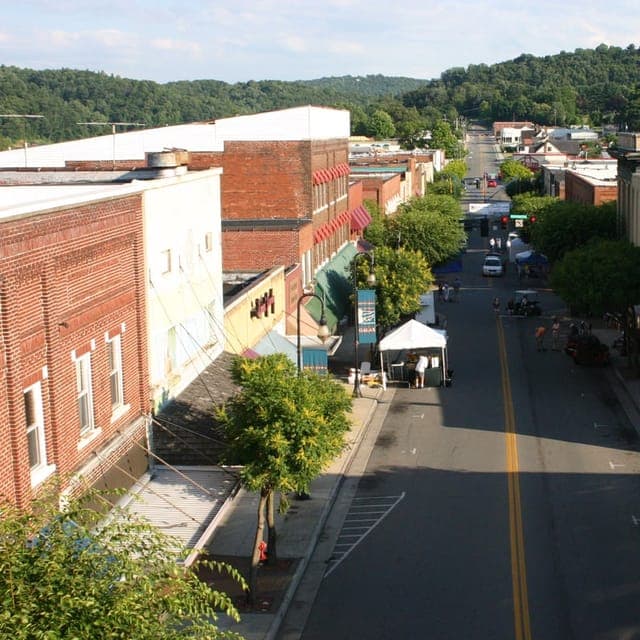 Galax