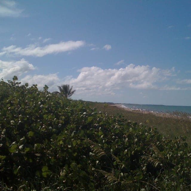 Jupiter Island