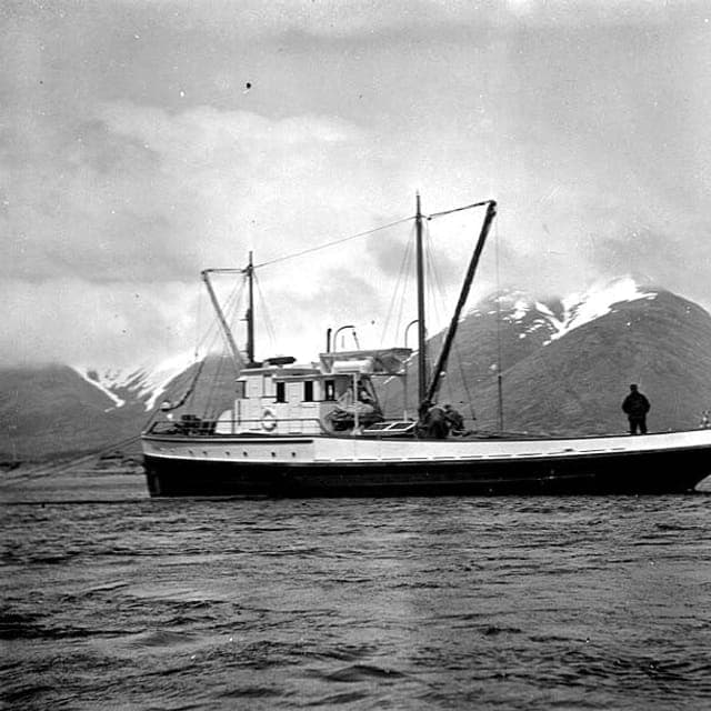 King Cove