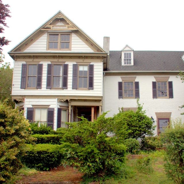 Laurel