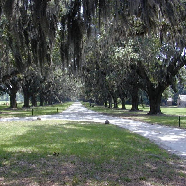 Mount Pleasant