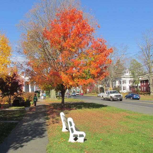 Newtown