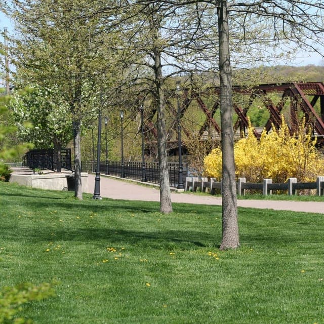 Shelton