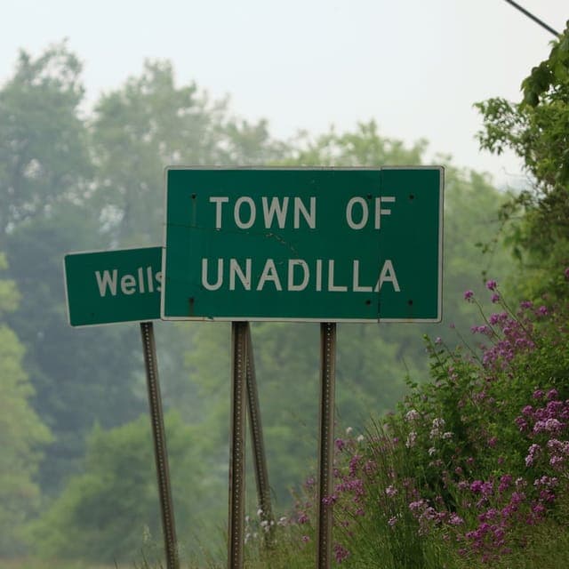 Unadilla