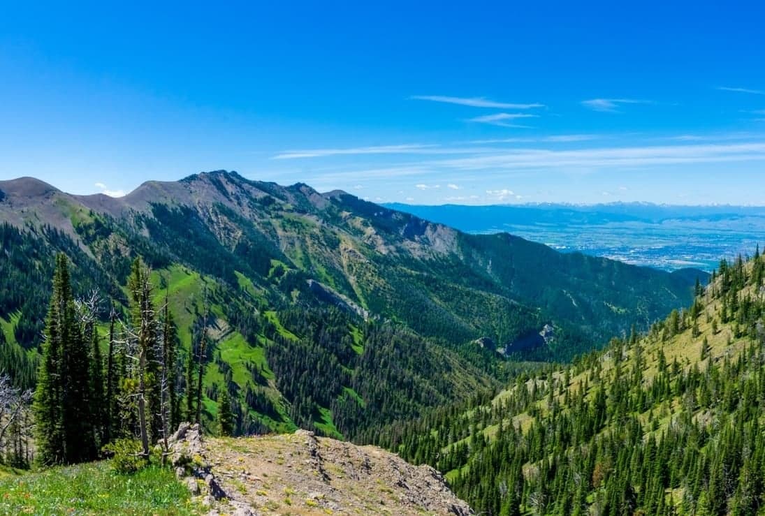 Bozeman, MT