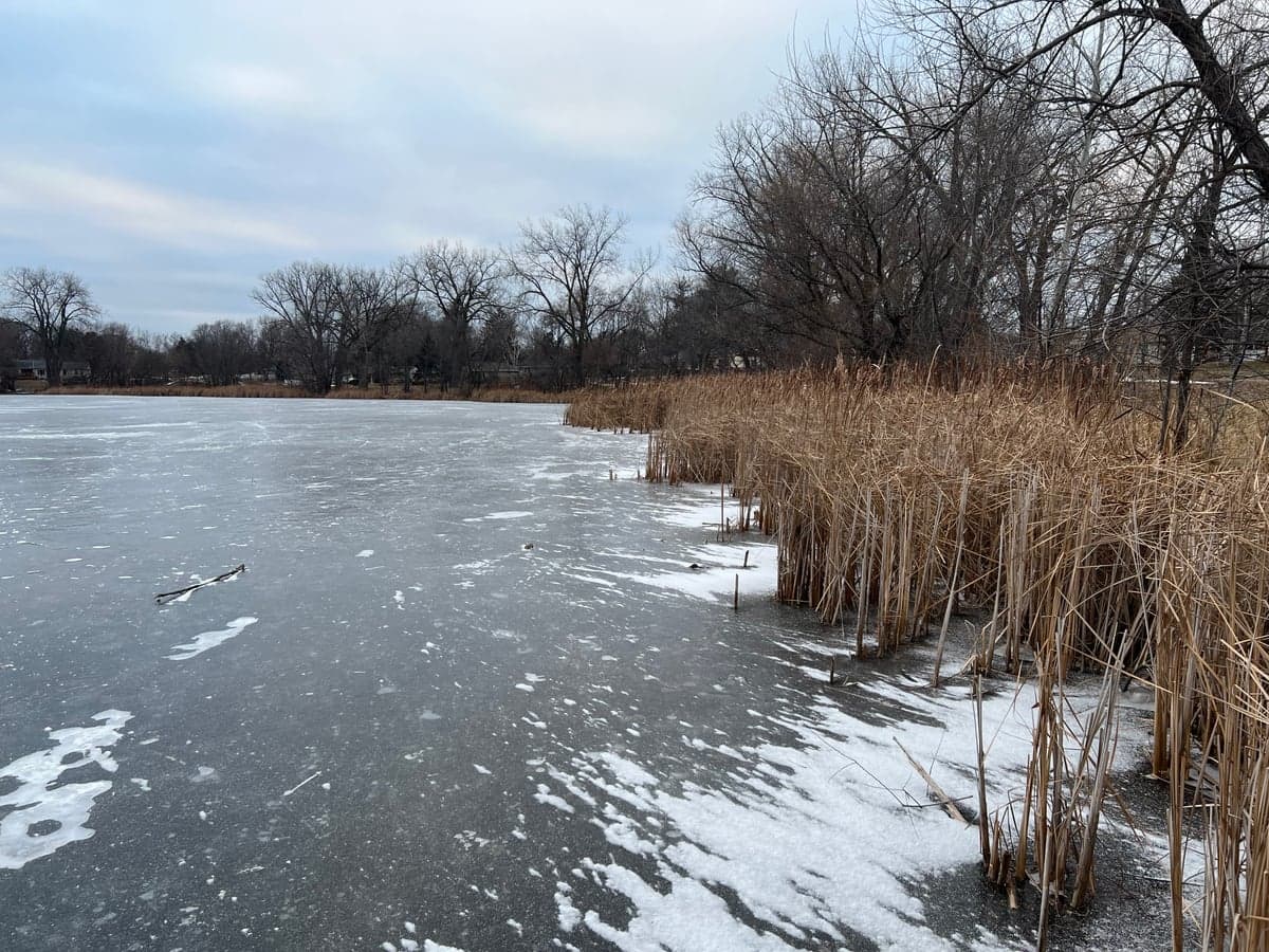 Maplewood, MN